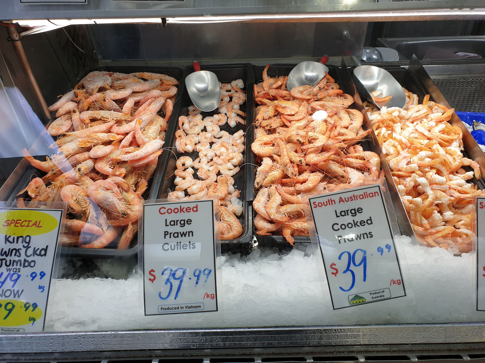 fischadelaide Unterwegs in Australien